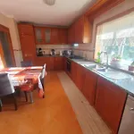 Homestay szállás Grace House Belinho